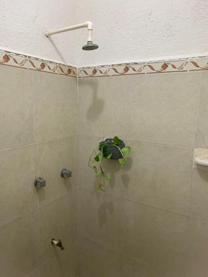 דירות פלאייה דל כרמן Casa Mar מראה חיצוני תמונה