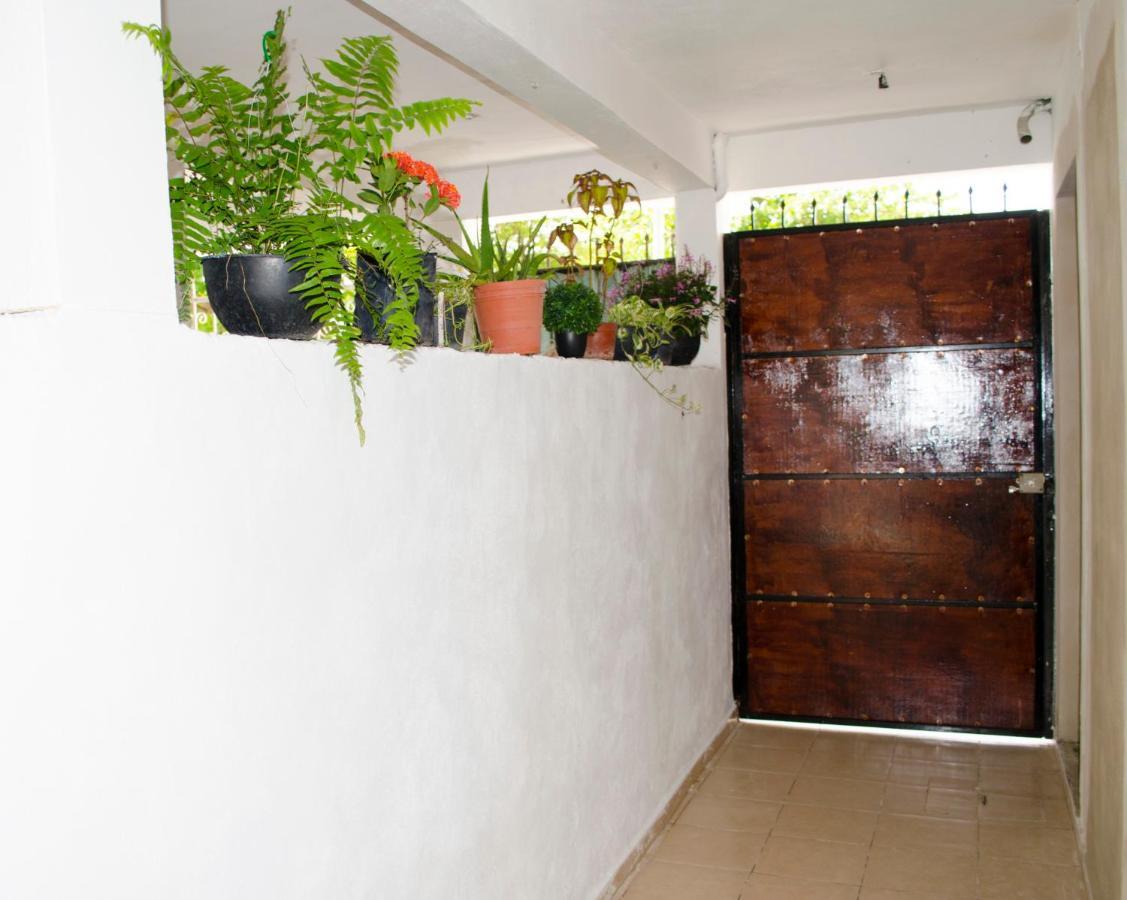 דירות פלאייה דל כרמן Casa Mar מראה חיצוני תמונה